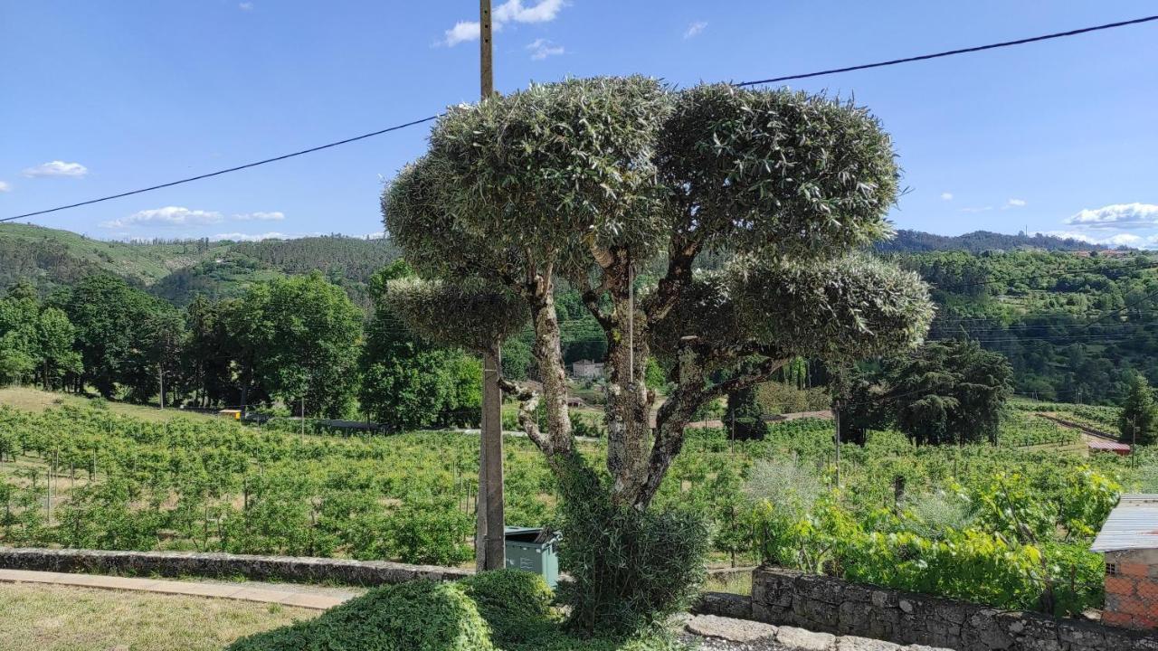 Casa Da Escola Farm stay