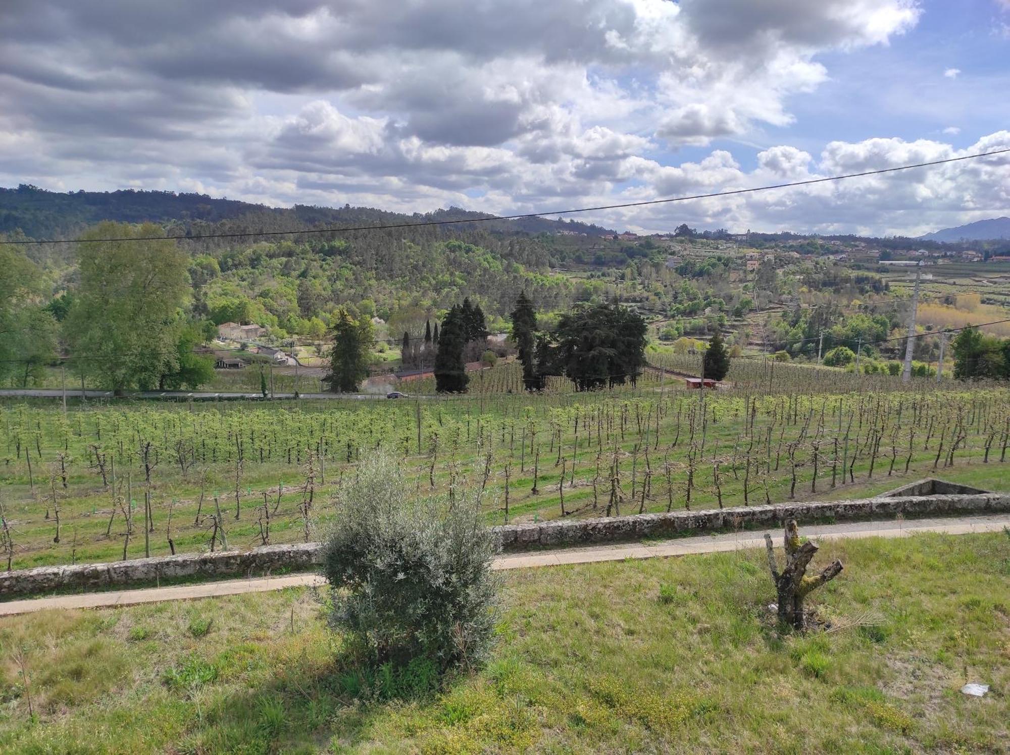 Farm stay Casa Da Escola *